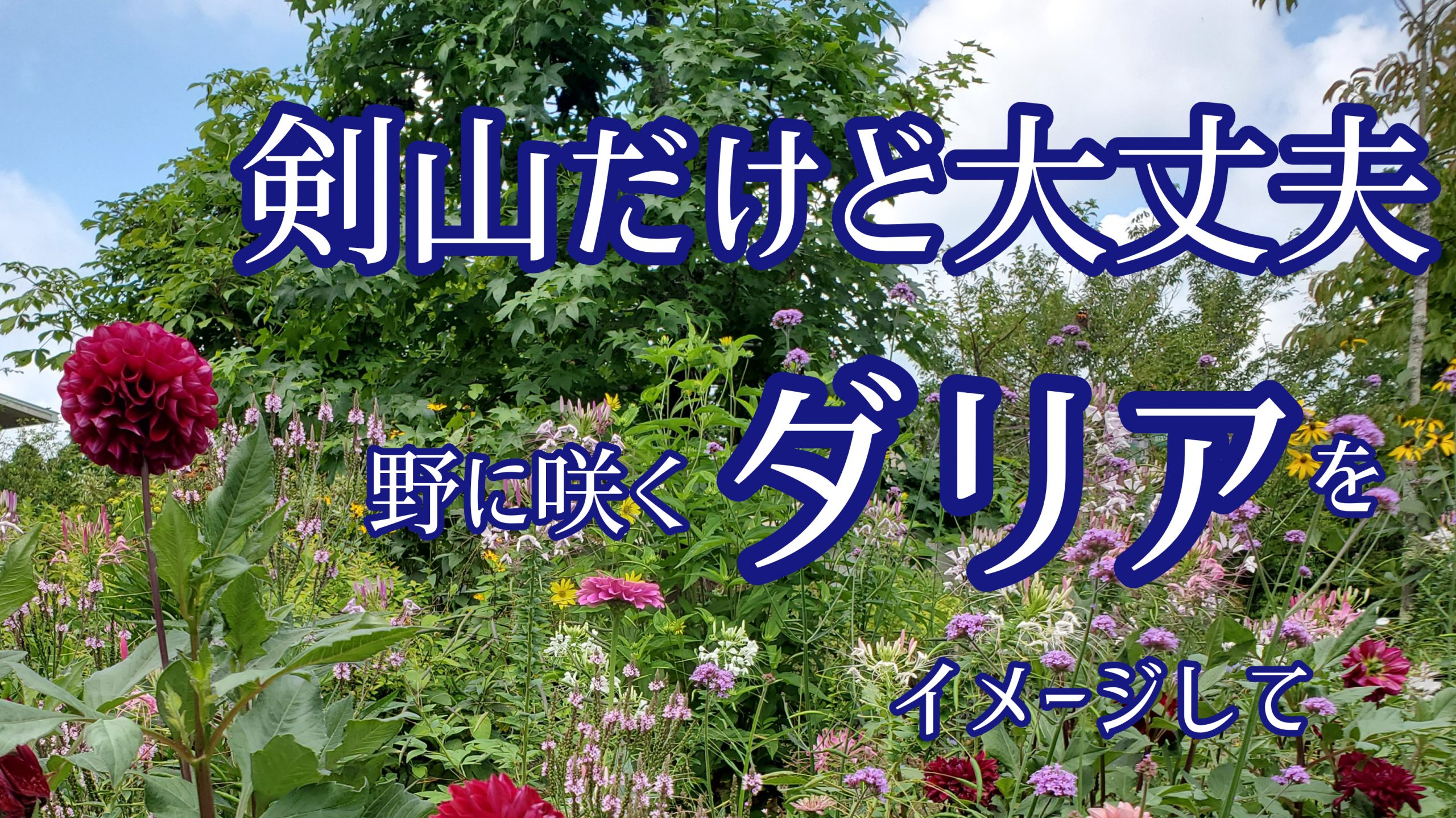 水盤 お皿 剣山 その他 フラワースタジオmai株式会社